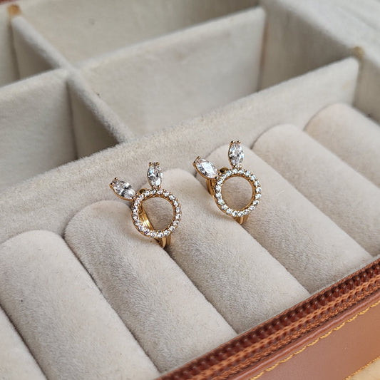 BUNNY Hoops