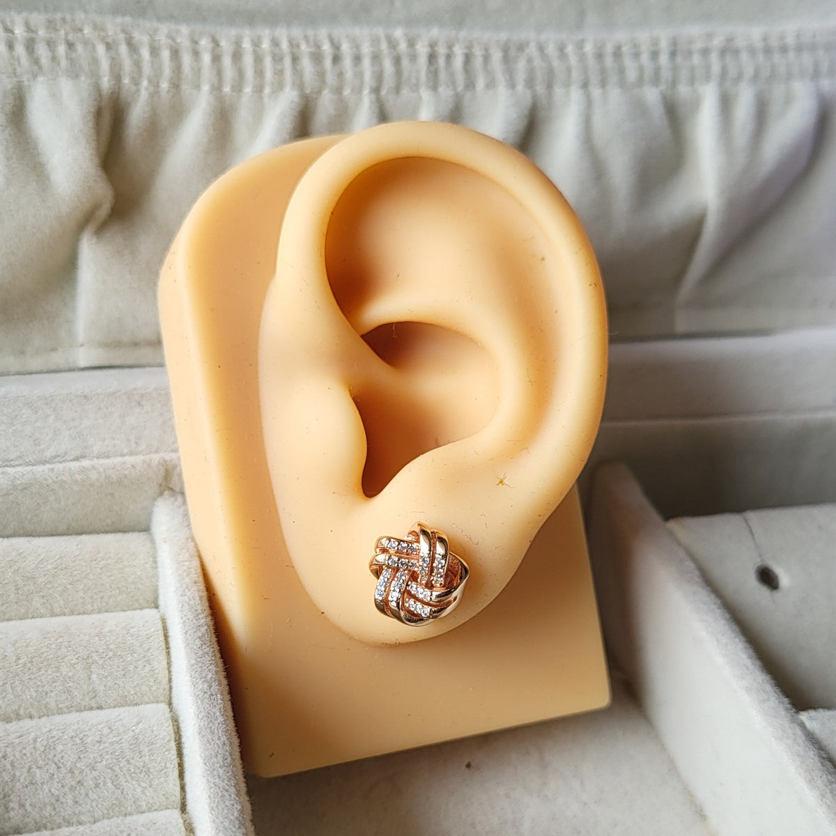 Aster studs