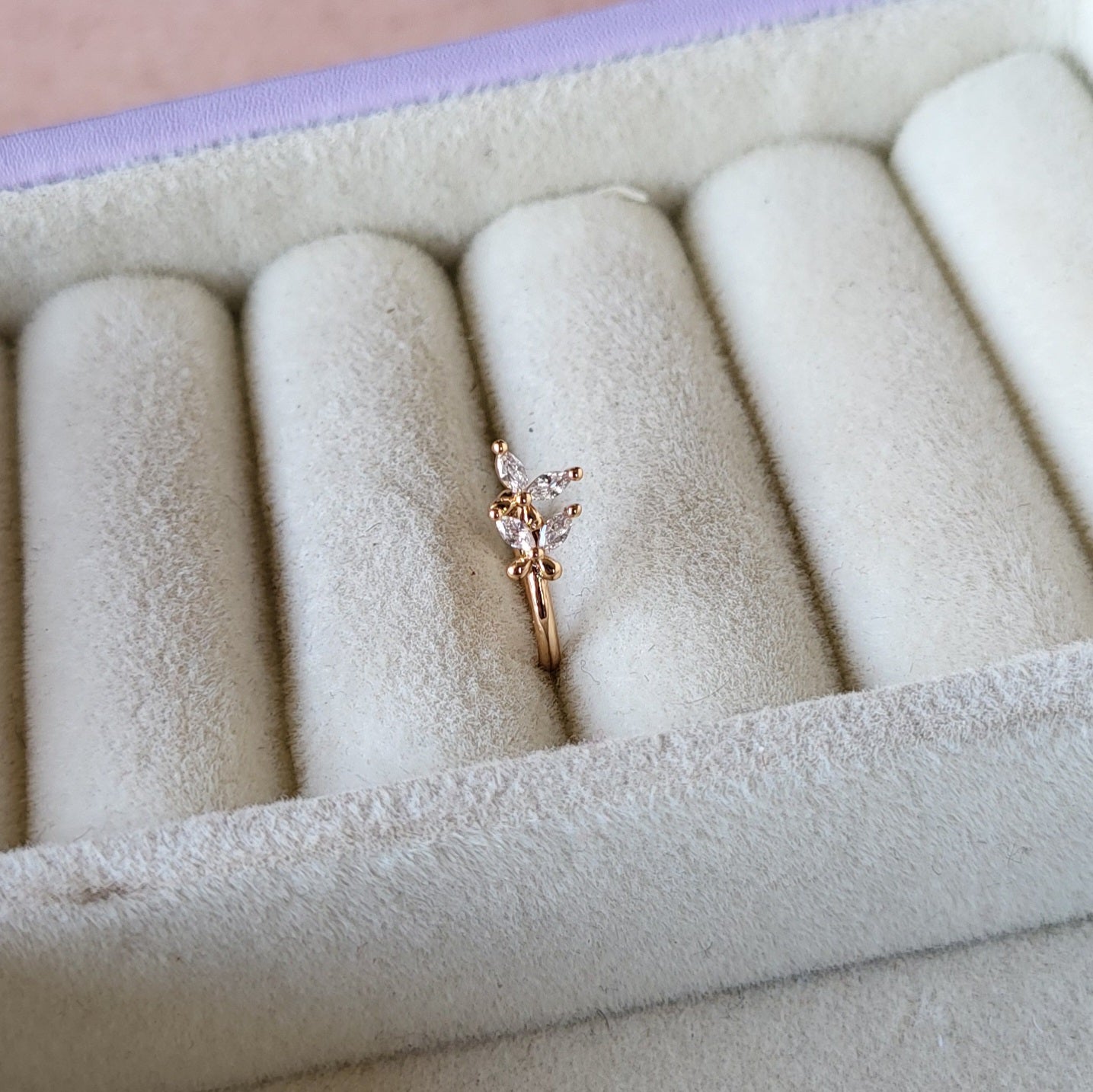 Iva nosepin