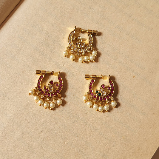 Hamsa nosepin