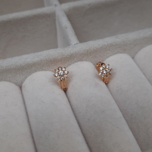 Daisy Mini hoops