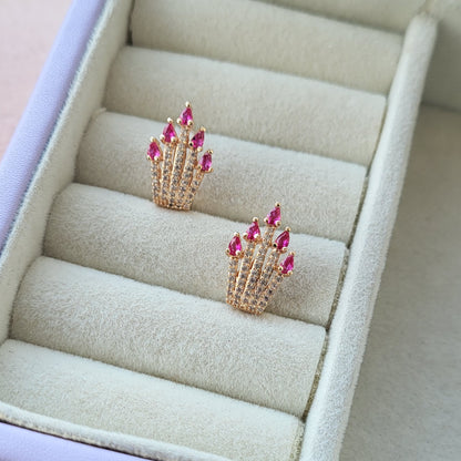 Ojaswi studs