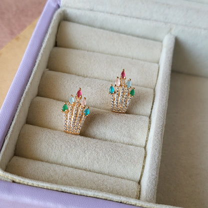 Ojaswi studs