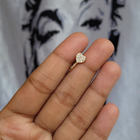 Dil nosepin