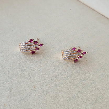 Ojaswi studs