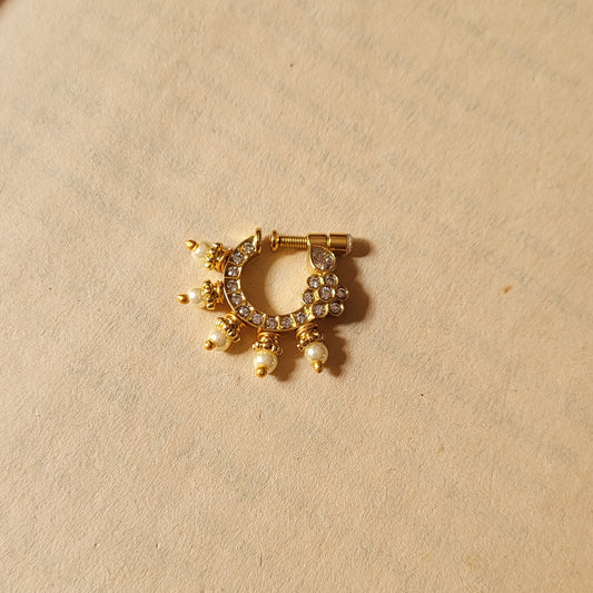 Meenakshi nosepin (Renuka)