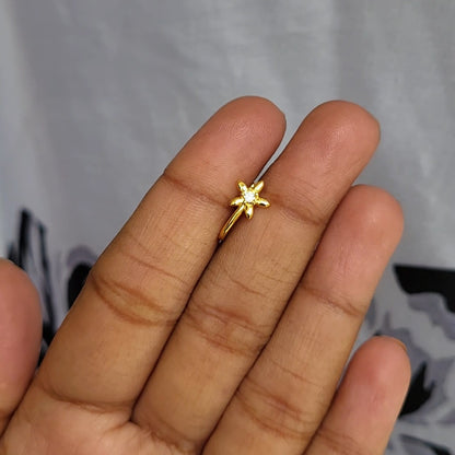 Shiney nosepin
