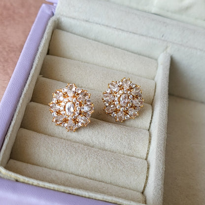 Aarohi studs