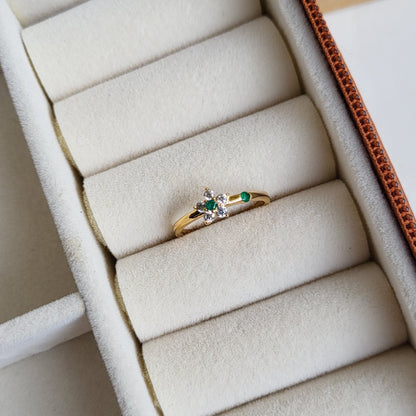 Megha ring