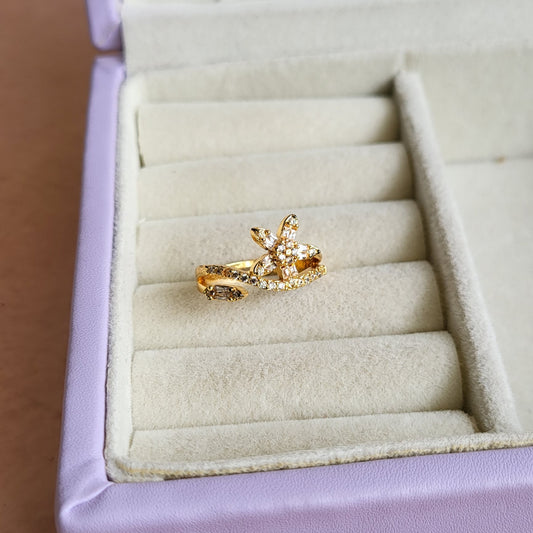 Star finger ring