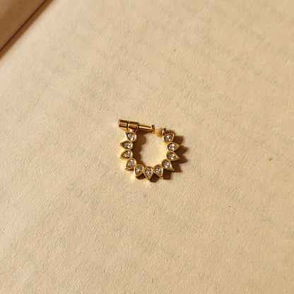 Padma nosepin